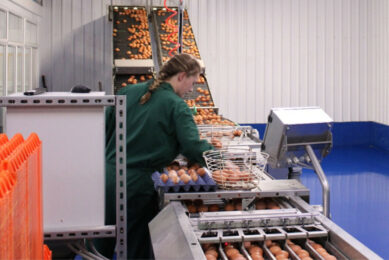 Significant investment has been made to future-proof production, including the introduction of advanced packing technology. Photo: Noble Foods