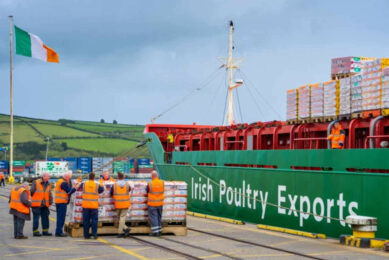 Ireland’s exports of primary poultry products to the UK increased by 20% to €105 million. Image created with the help of AI (Reve.art)