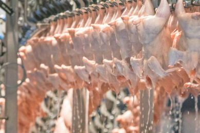 MHP is Ukraine's largest poultry exporter with a share ranging between 85% and 90%. Photo: Koos Groenewold