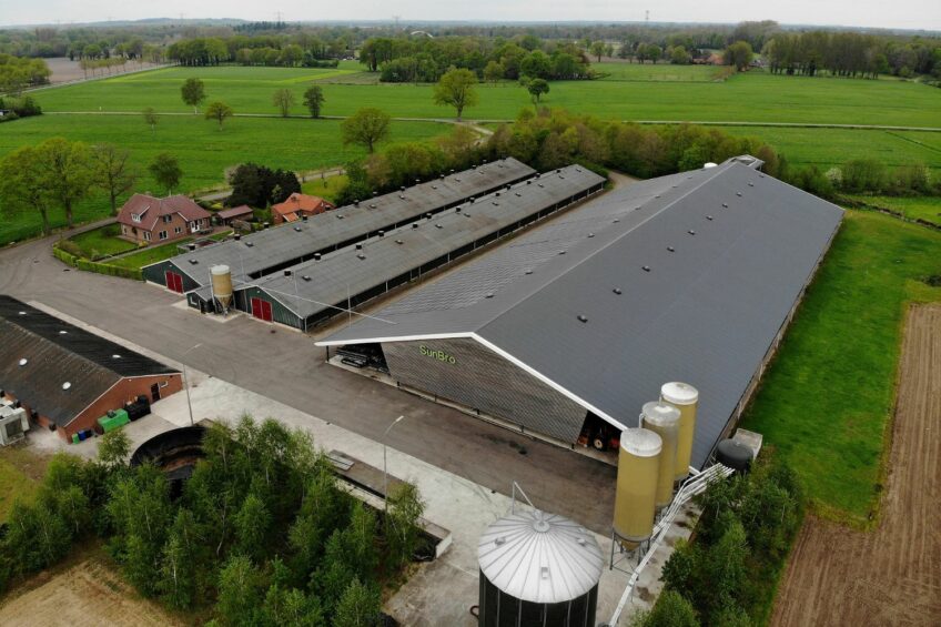 2025: A standout year for the Dutch broiler sector