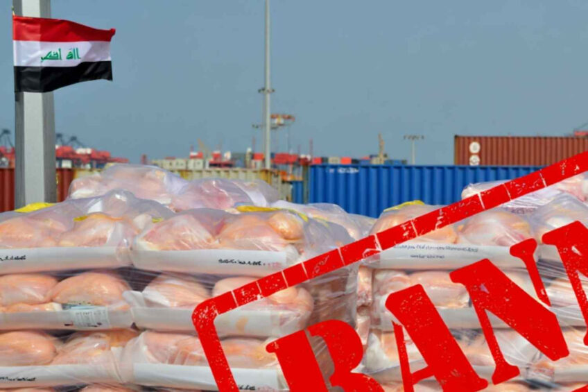 In a statement, Iraq’s Ministry of Agriculture described the ban as "one of the most effective tools available to support poultry farmers". Image created with the help of AI (Reve.art)
