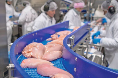 Poultry production growth is expected to stay high in 2026. Photo: Mark Pasveer