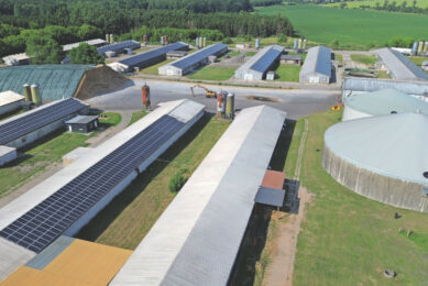 The solar panels supply 1.1 MW of electricity, while the biogas unit supplies 1.0 MW. Besides ‘Parchim’, Martin Ziemann keeps 120,000 broilers on 40 hectares. Moritz Hardkop keeps another 600,000 broilers across five locations. Photos: Henk Riswick