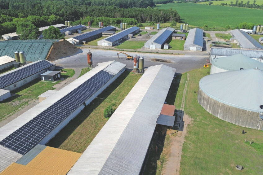 The solar panels supply 1.1 MW of electricity, while the biogas unit supplies 1.0 MW. Besides ‘Parchim’, Martin Ziemann keeps 120,000 broilers on 40 hectares. Moritz Hardkop keeps another 600,000 broilers across five locations. Photos: Henk Riswick