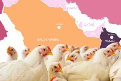 Under Vision 2030, Saudi Arabia has set a target of reaching 90% self-sufficiency in broiler meat, an unprecedented level for the Middle East. This image was created with the help of AI (Reve.art)