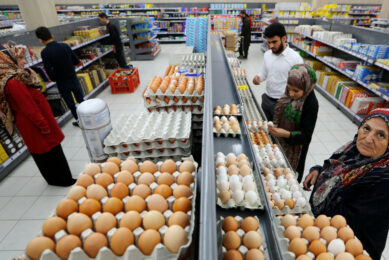 Afghanistan is ramping up production to better meet domestic demand for broiler meat and eggs. Image created with the help of AI (Reve.art)