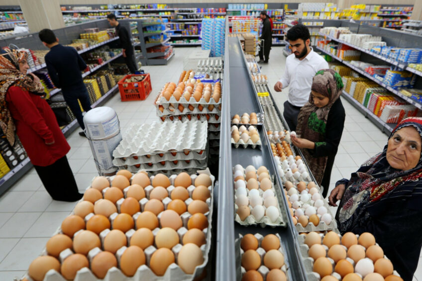 Afghanistan is ramping up production to better meet domestic demand for broiler meat and eggs. Image created with the help of AI (Reve.art)