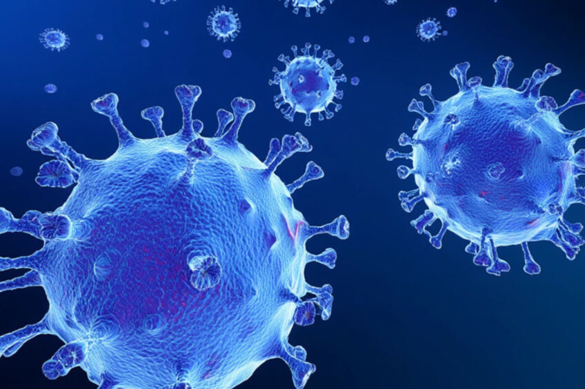 Infections in humans linked to the cattle outbreak have so far been mild and limited, but the findings are concerning, say the study authors. Image created with the help of AI (Reve.art)