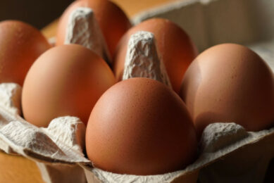 Scientists have sampled eggs collected from a small number of domestic poultry keepers within 1km of the Hillhouse site to see whether they contain PFAS chemicals. Image created with the help of AI (Reve.art)