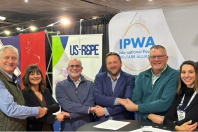 IPWA and IEF partner to strengthen poultry welfare training and support