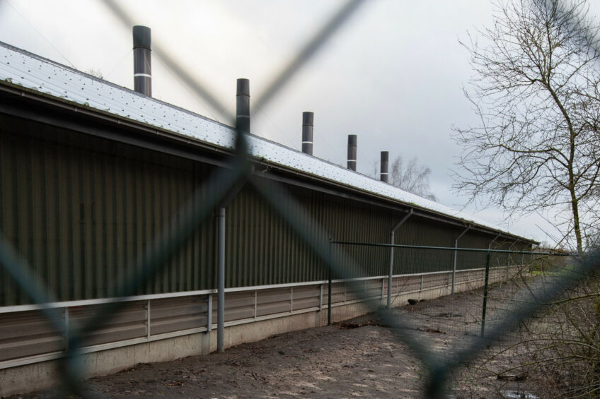 On 13 January, it was reported that over a million birds were housed at affected facilities since the start of the year. Most were culled. Photo: Hans Banus