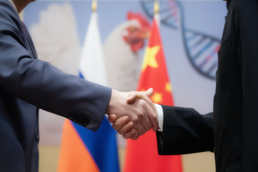 Both China and Russia have placed growing emphasis on the development of their domestic poultry breeding industries in recent years. Image created with the help of AI (Reve.art)