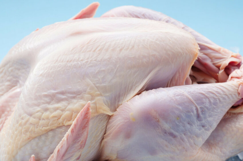 A new technology that can nearly triple the shelf life of chilled poultry to around 20 days is moving toward commercial application. Image created with the help of AI (Reve)