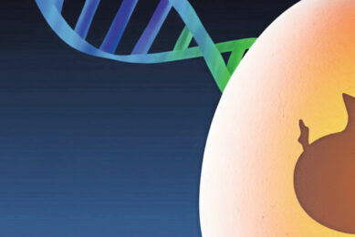 Researchers emphasise that a particular method enables the removal of unwanted male or genetically unsuitable embryos before hatching. Image created with the help of AI