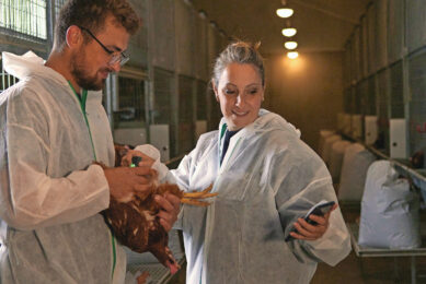 For producers worldwide, the question is: How do we keep layers productive for longer without compromising health or efficiency? Photos: Cargill