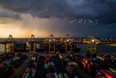 Given some of the world’s key transport routes are being affected, the conflict has the potential to significantly disrupt the global poultry trade. Image created with the help of AI (Reve)