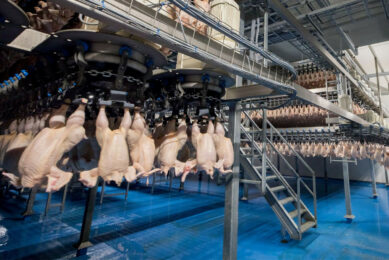 The population is expected to grow in the Middle East by 20 million people towards 2029. This will increase poultry meat consumption both now and in the future. Photo: Koos Groenewold