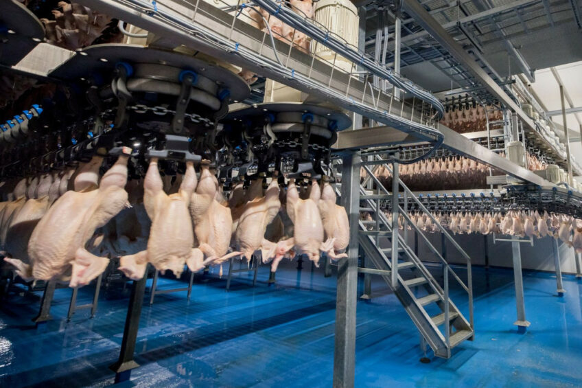 The population is expected to grow in the Middle East by 20 million people towards 2029. This will increase poultry meat consumption both now and in the future. Photo: Koos Groenewold