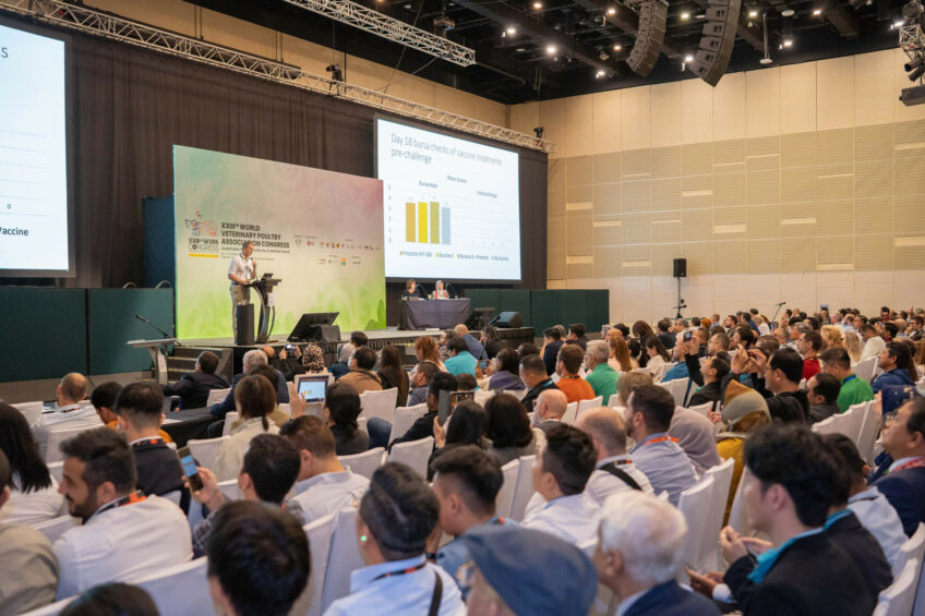 From avian influenza to immunosuppressive diseases, the 23rd World Veterinary Poultry Association Congress (WVPAC) highlighted how vaccine innovation is reshaping poultry health management. Photo: WVPAC
