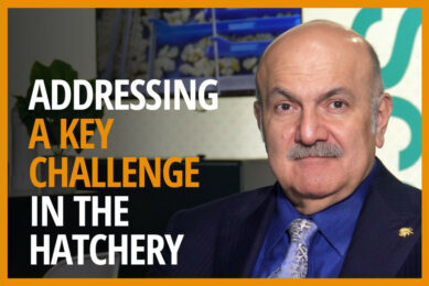 Targan’s CEO Ramin Karimpour talks about WingScan, a groundbreaking solution that revolutionises hatchery operations.