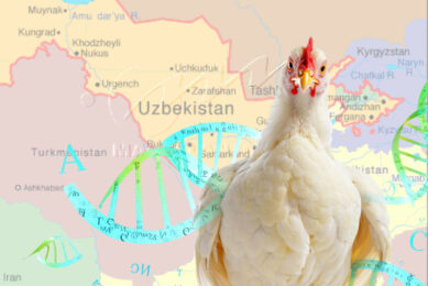 Uzbekistan has made food security a central policy priority, aiming to ensure stable supplies of key food products for its rapidly growing population and to reduce reliance on imports. Image created with the help of AI (Reve)