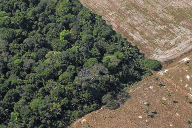 Aerial image of cattle and soybean plantation in a deforested area near Porto Velho. August 7, 2020. Photo: Amazônia Real from Manaus AM, Brasil, CC BY 2.0 via Wikimedia Commons