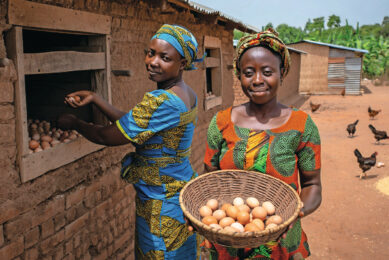 The Chicken4U programme aims to strengthen household food security, create local income streams, and empower women and youth engaged in village‑level poultry production. Image created with the help of AI (Reve)