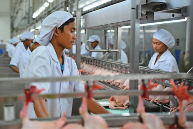 Indonesia’s poultry industry has proven its remarkable capacity for growth. Image created with the help of AI (Reve)