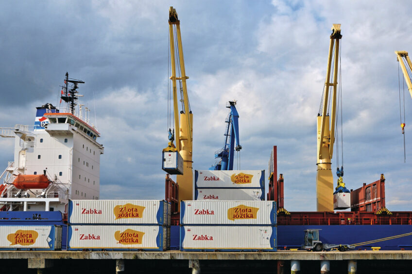 Polish producers are facing intensifying competition in export markets, particularly within the European Union. Image created with the help of AI (Reve)