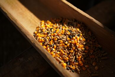 Russia explores irradiated feed to support poultry production in the Arctic