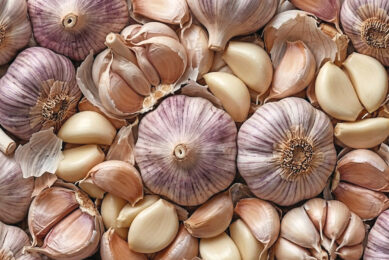 Could Kenyan research into garlic-derived allicin help reduce antibiotic use in broiler production? Image created with the help of AI (Gemini)
