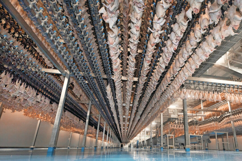 Master Good is launching what it says is one of Europe's most modern meat processing plants, which is located in western Hungary. Photo: Koos Groenewold