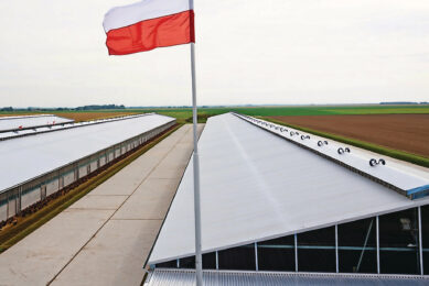 The Polish national poultry council KRD-IG: “The Polish poultry sector constitutes one of the pillars of the country’s food security and of food exports within the EU, and operates under one of the most stringent regulatory systems in the world. Image created with the help of AI (Reve)