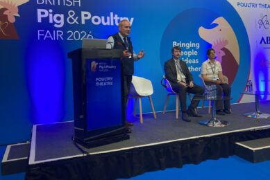 Regulations to ensure a fairer egg supply chain are due to be finalised and laid before Parliament in the UK this year. Photo: Supplied