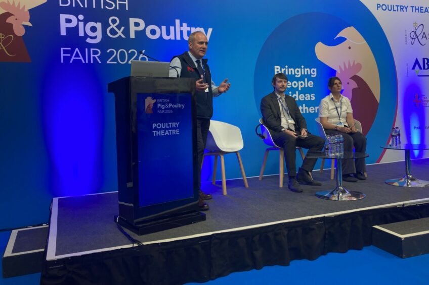 Regulations to ensure a fairer egg supply chain are due to be finalised and laid before Parliament in the UK this year. Photo: Supplied